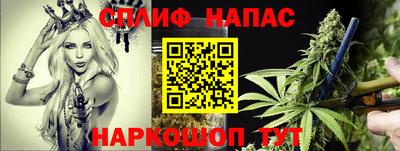 стафф Славгород