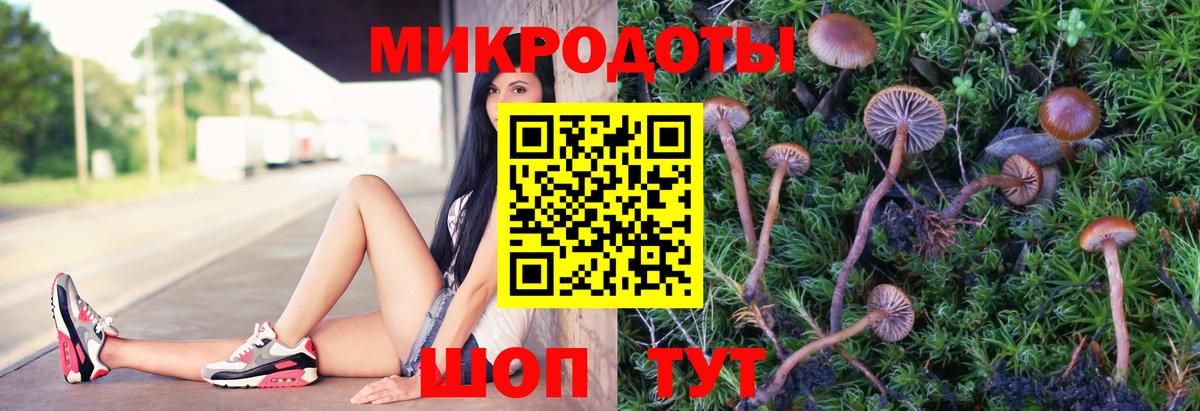 Псилоцибиновые грибы Psilocybe Сергиев Посад